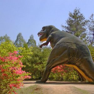 森の中に恐竜が 憩いの広場 森林公園 Mitogle